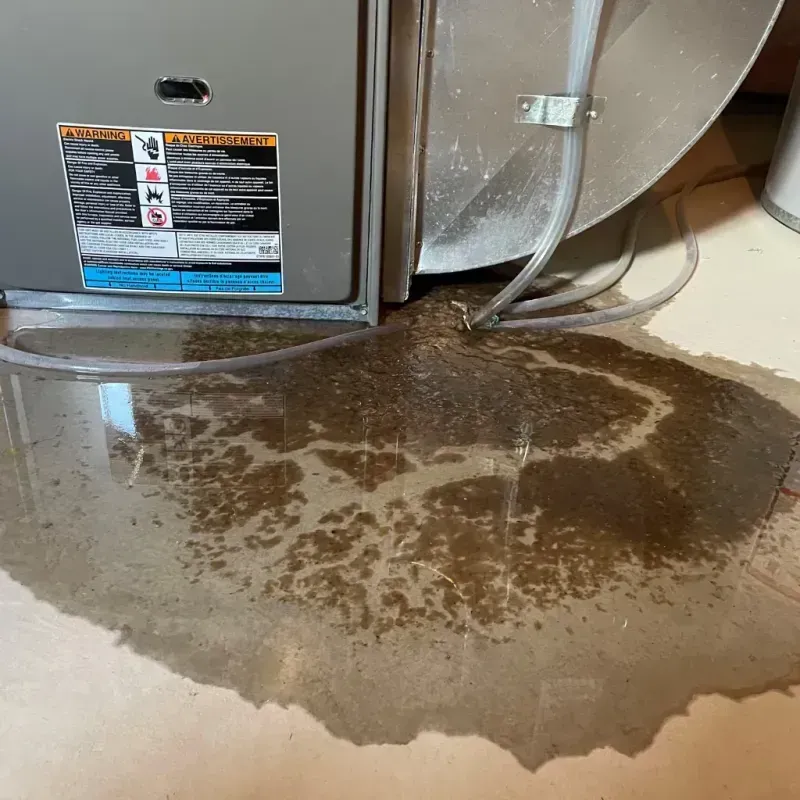 Appliance Leak Cleanup in Erma, NJ